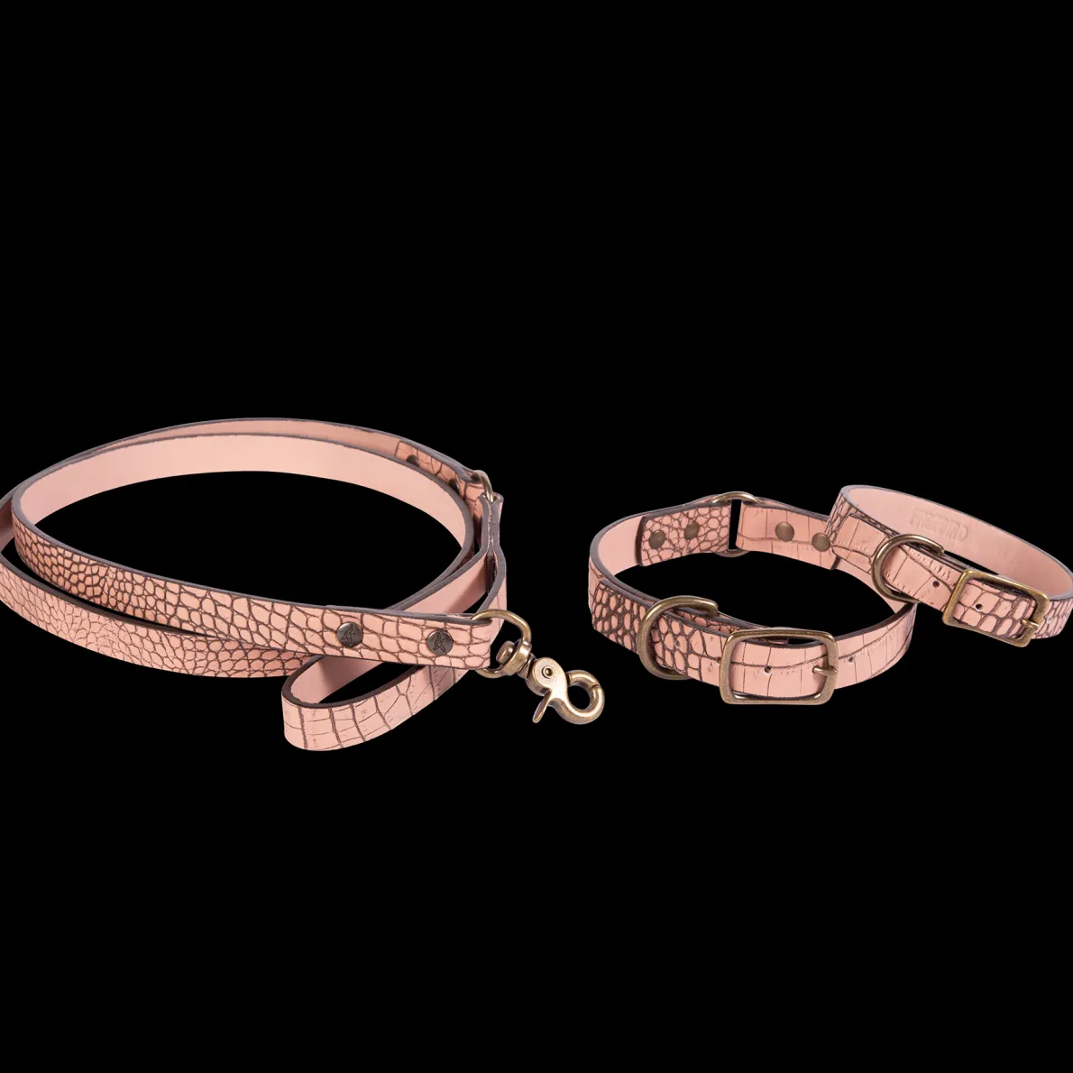 Dog Collar
